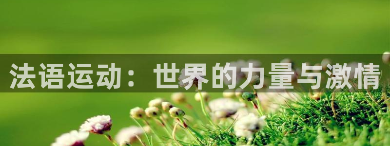 急速体育首页