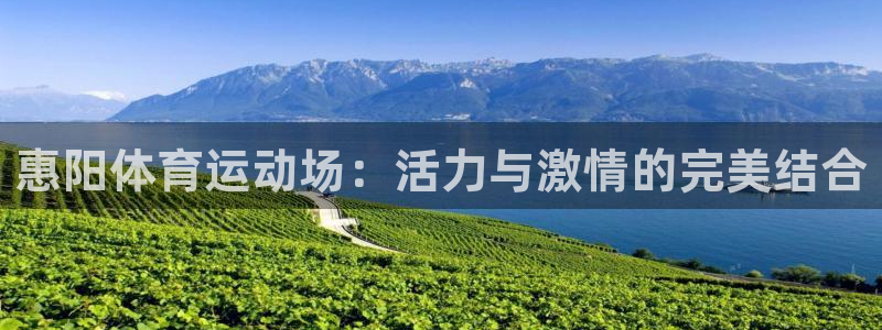关键词：惠阳体育运动场：活力与激情的完美结合