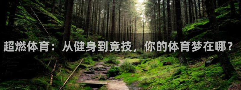 急速体育cba：超燃体育：从健身到竞技，你的体育梦在哪？