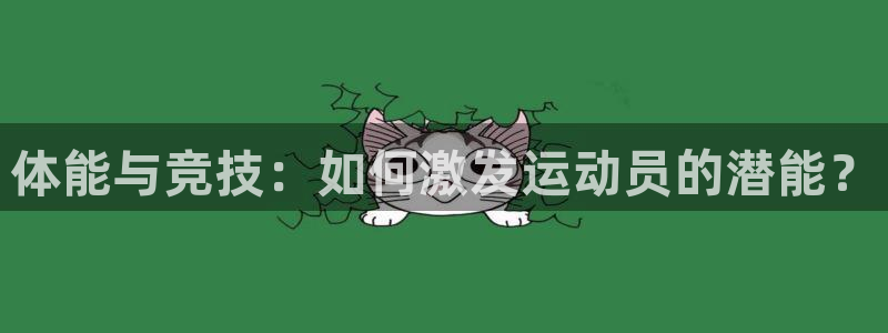 急速体育nba