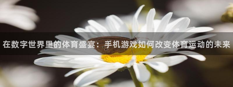 急速体育nba