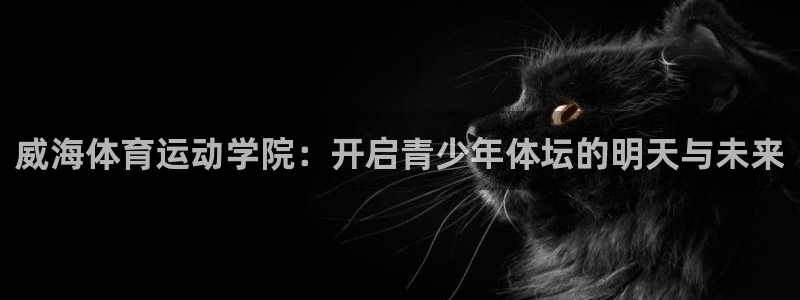 急速体育nba直播在线观看：威海体育运动学院：开启青少年体坛的明天与未来
