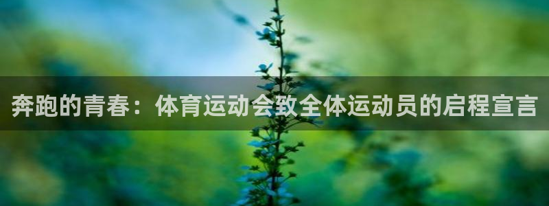 急速体育：奔跑的青春：体育运动会致全体运动员的启程宣言